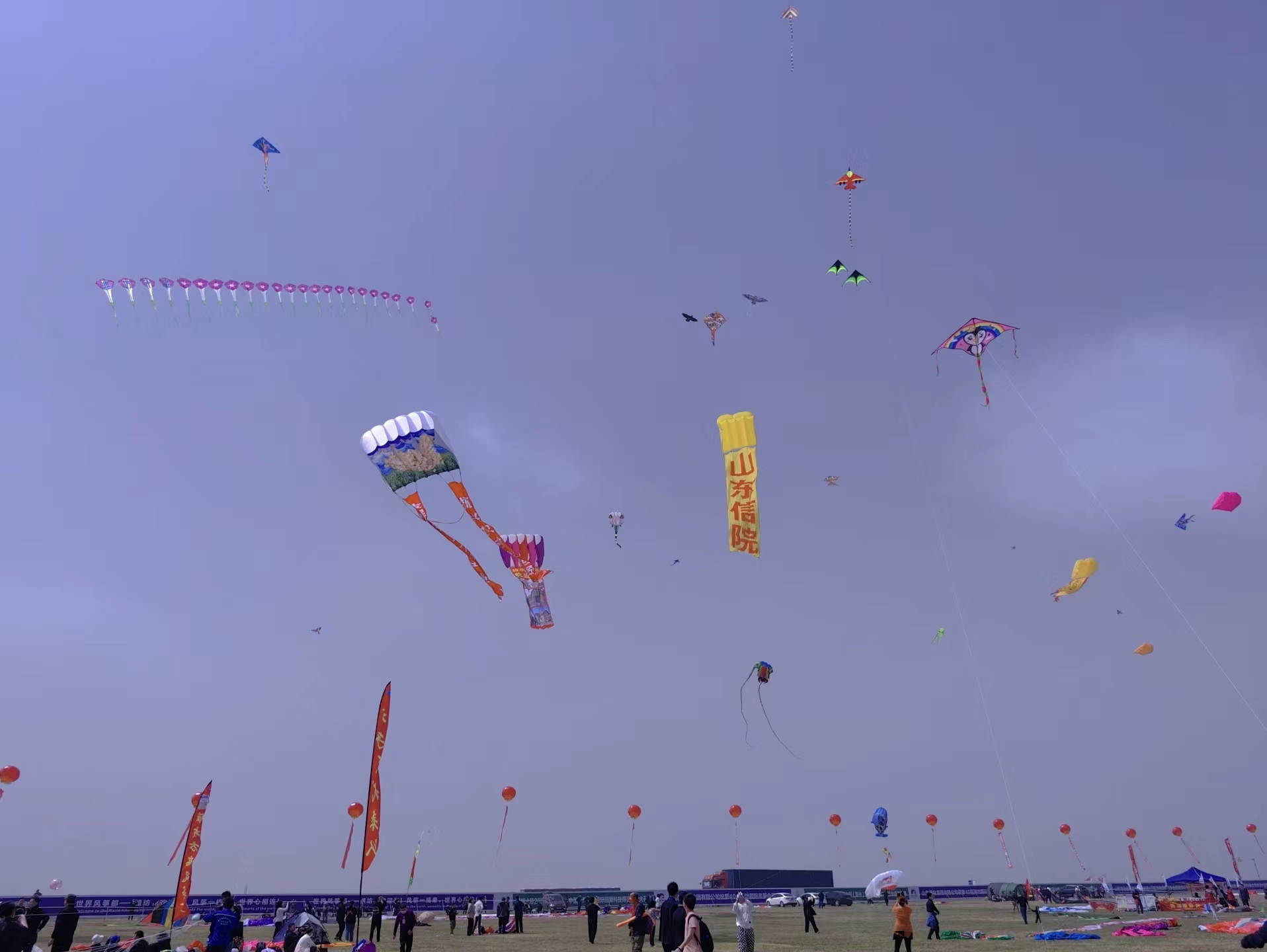 微信图片_20230512111508.jpg 微信图片_20230512111508.jpg