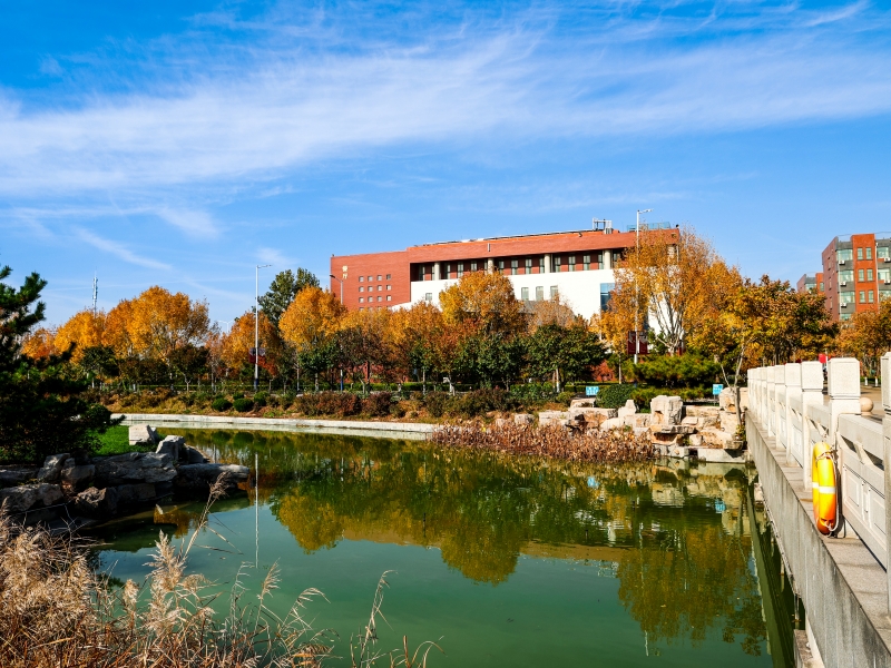 24无人机1班 刘昊澎 《湖光冬色两相和》_副本.jpg