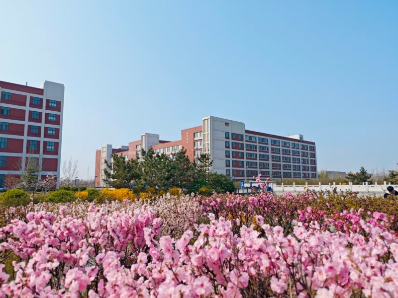 清明  (2)_副本.jpg